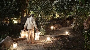 Eine Person geht nachts durch einen Garten, der von Laternen gesäumt ist.