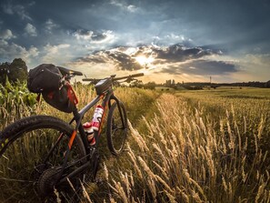 A mountain bike parked in a field with a sunset in the background. - Coopers North in Old Town – Hot Tub & Pool Table! (Fort Collins)
