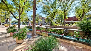 Un parc doté d’un chemin pavé, de bancs et de plantes en pot.