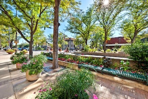 Khuôn viên nơi lưu trú