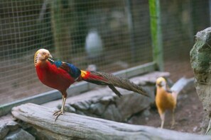 View from property - Katiliya Park Villa (Mae Chan)