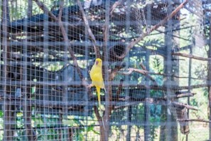 Miscellaneous - Katiliya Park Villa (Mae Chan)