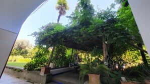 Un espacio al aire libre cubierto con escalones que conducen a un jardín, rodeado de exuberante vegetación y una palmera.