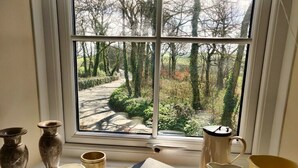Ein Fenster mit Blick auf einen von Bäumen gesäumten Weg.