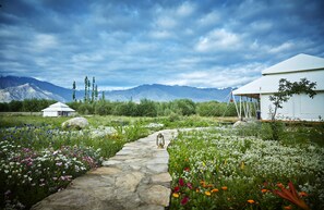 Terrein van de accommodatie