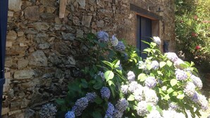 A stone building with two windows and a door, surrounded by lush greenery and hydrangea flowers. - Bastide nestled in the heart of nature (La Garde-Freinet)