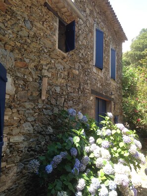 Exterior detail - Bastide nestled in the heart of nature (La Garde-Freinet)