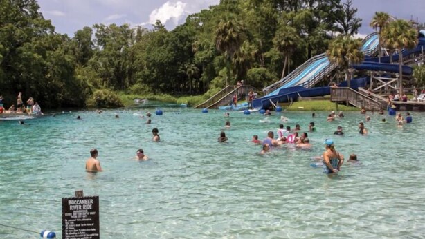 A water park with clear water, palm trees, and a sign for the Boogie Boarder River Ride. - Riverside Retreat (Dade City)