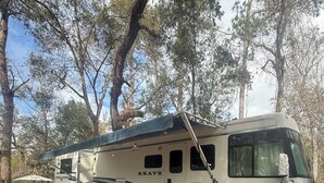 A RV with the word "BRAVE" on the side parked in a wooded area. - Riverside Retreat (Dade City)