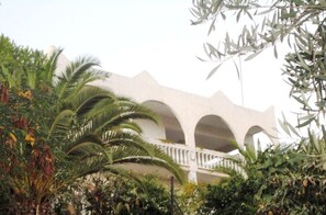 Property grounds - Sea View Country House Near the Beach  (Άγιοι Θεόδωροι)