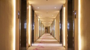 Un pasillo largo y bien iluminado con alfombra y puertas a ambos lados.