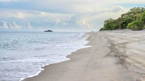 Une plage avec un rivage sablonneux, une île lointaine et une rangée d’arbres.