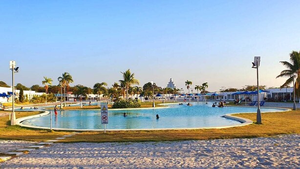 Une grande piscine extérieure entourée de palmiers et de chaises de plage.