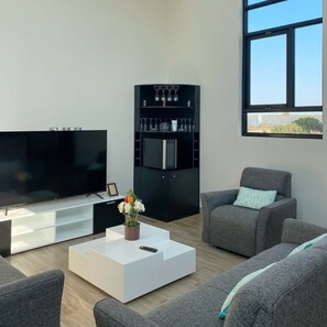 Televisión 