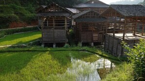Une construction traditionnelle en bois, dotée d’un toit de chaume, entourée de rizières verdoyantes et d’un petit étang.
