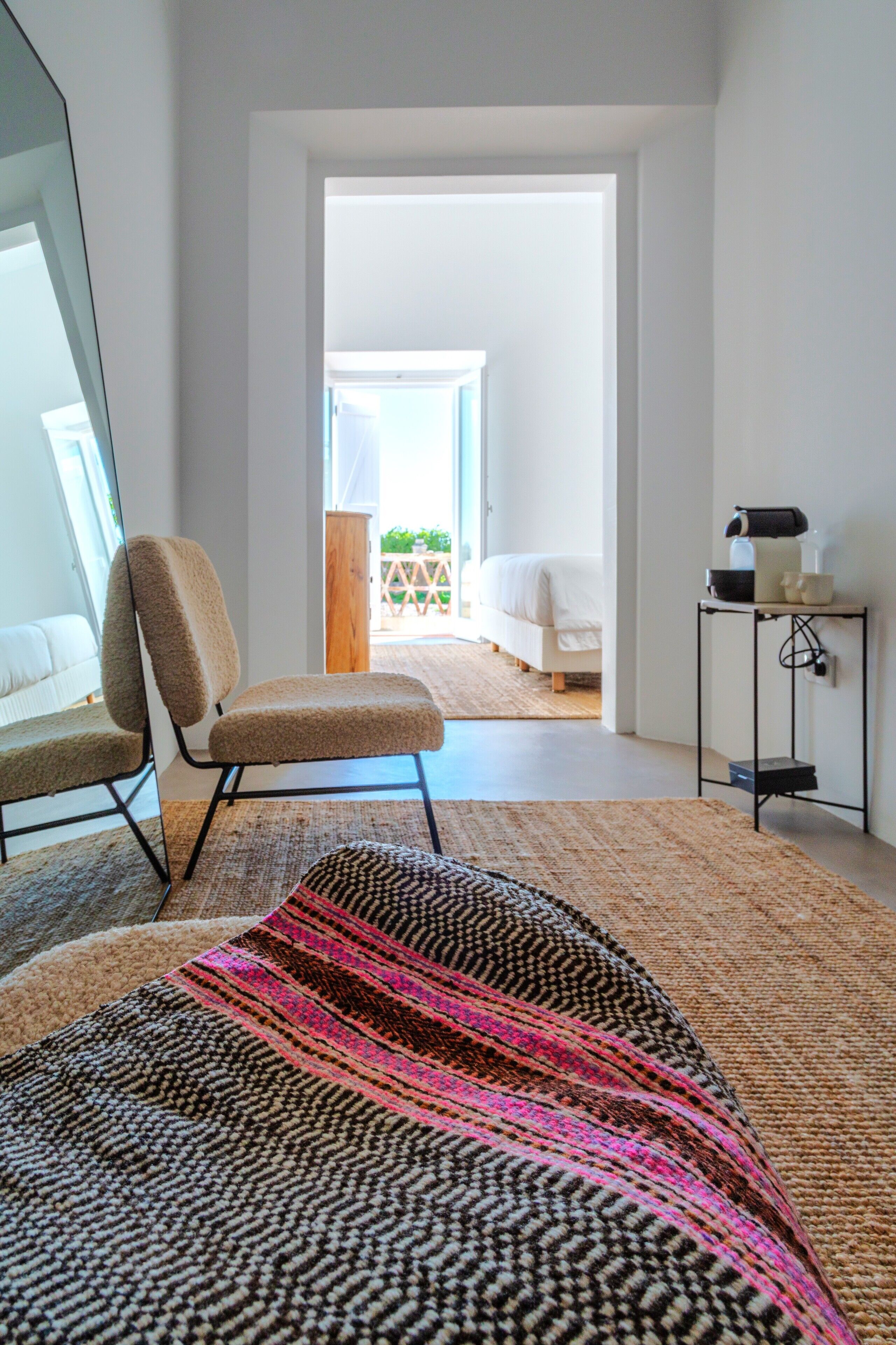 Foto - Cenoura-Brava