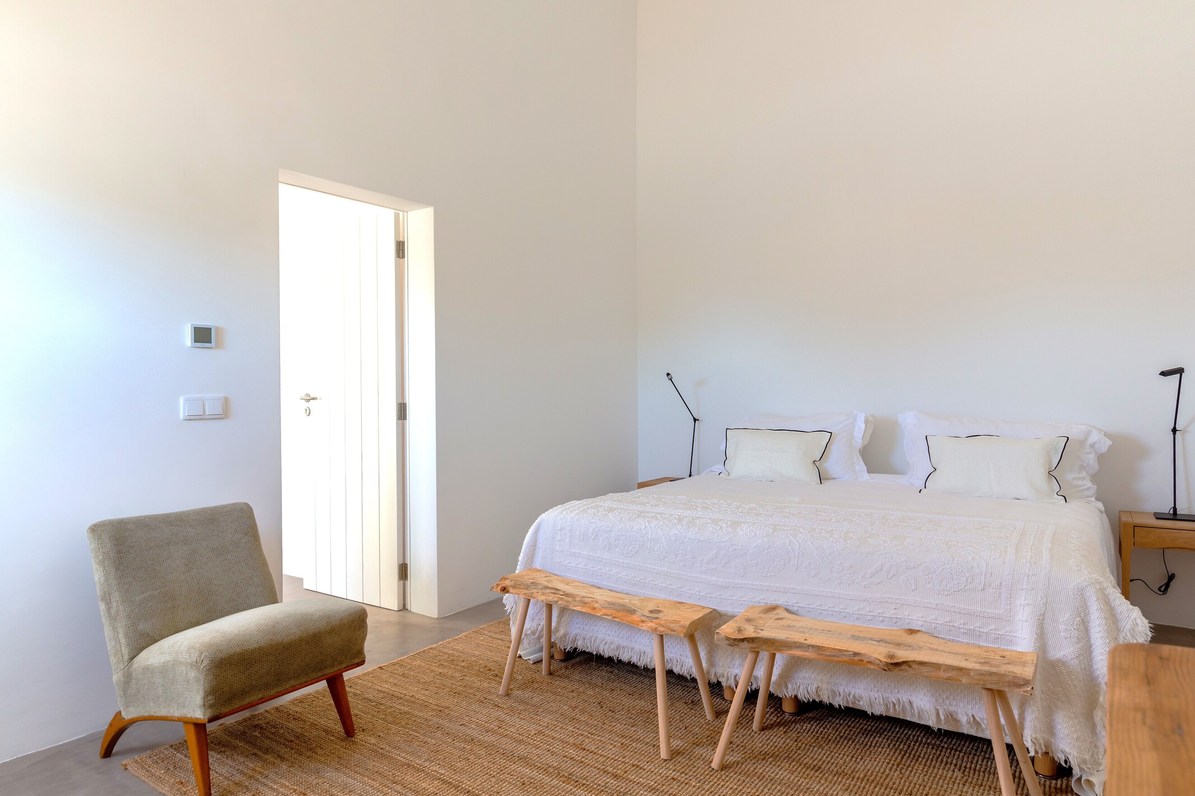 Foto - Cenoura-Brava