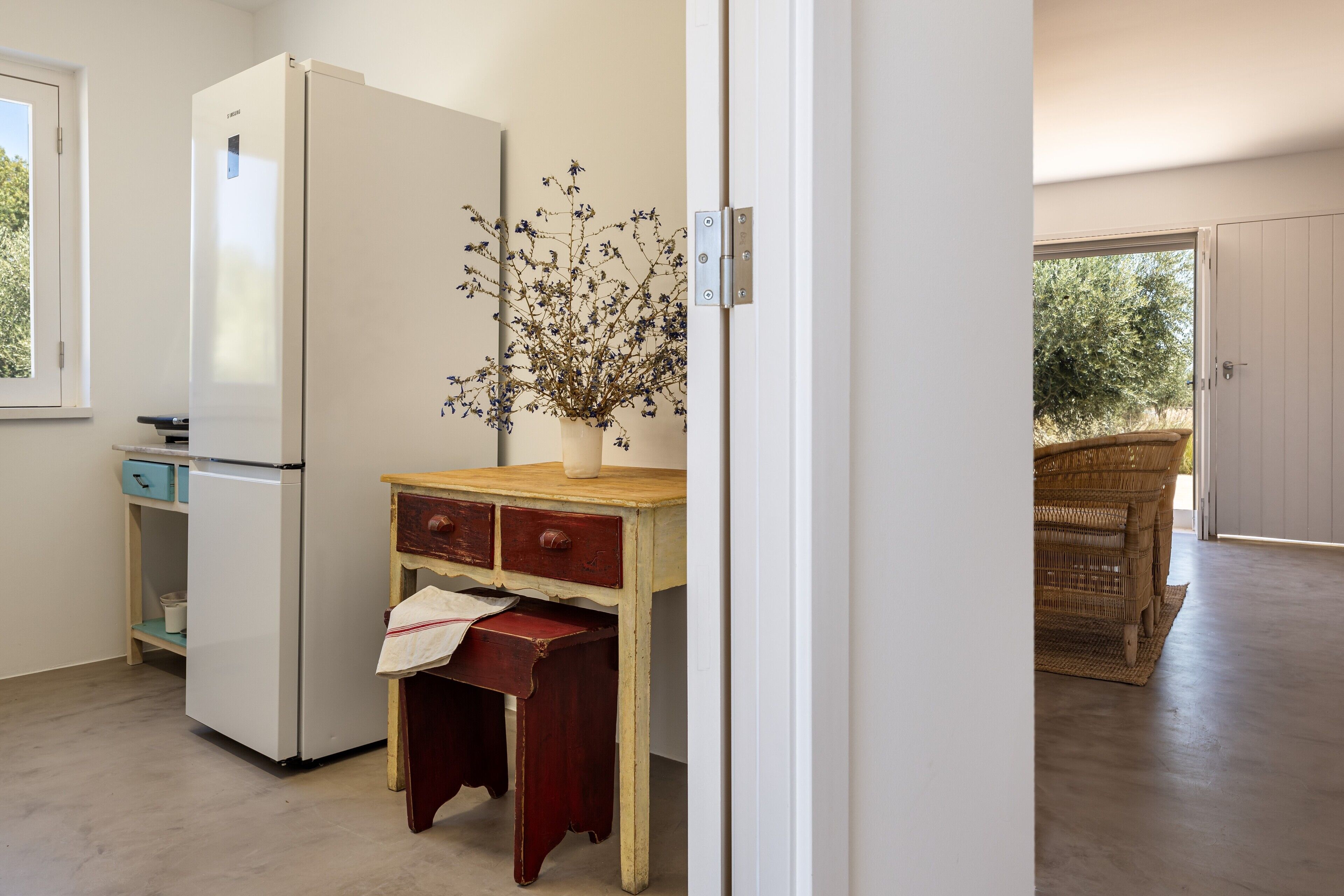 Foto - Cenoura-Brava