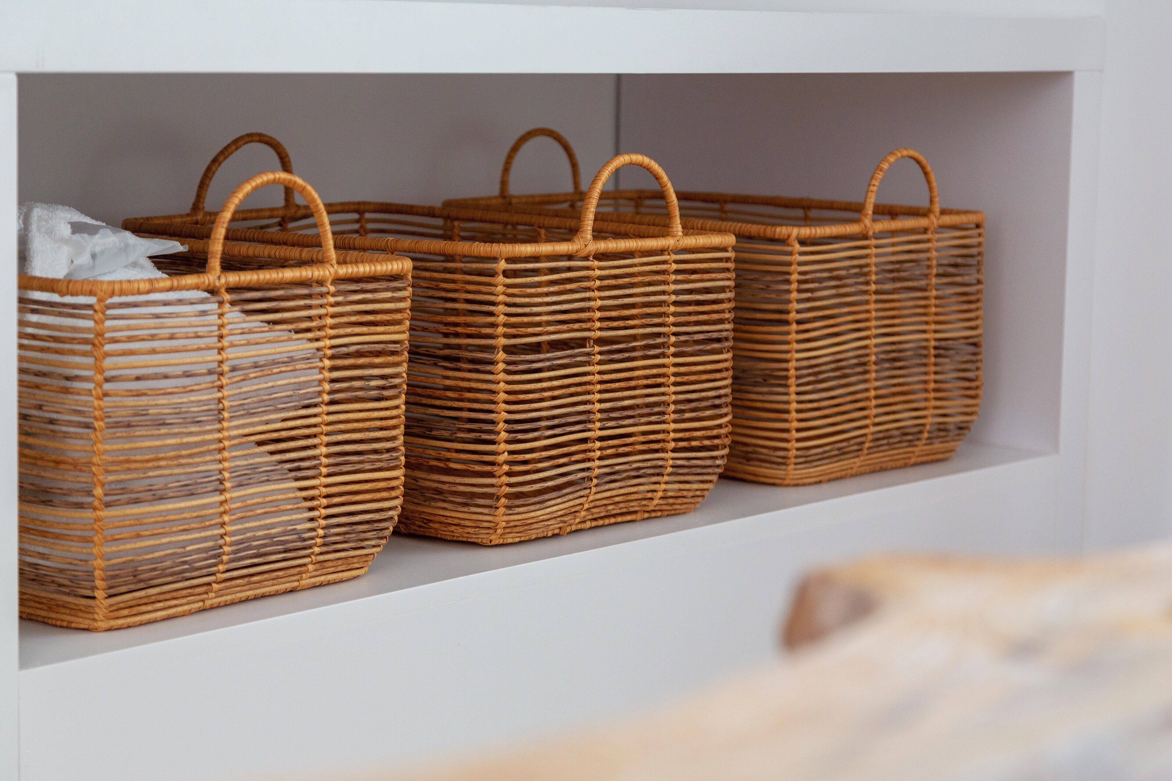 Foto - Cenoura-Brava