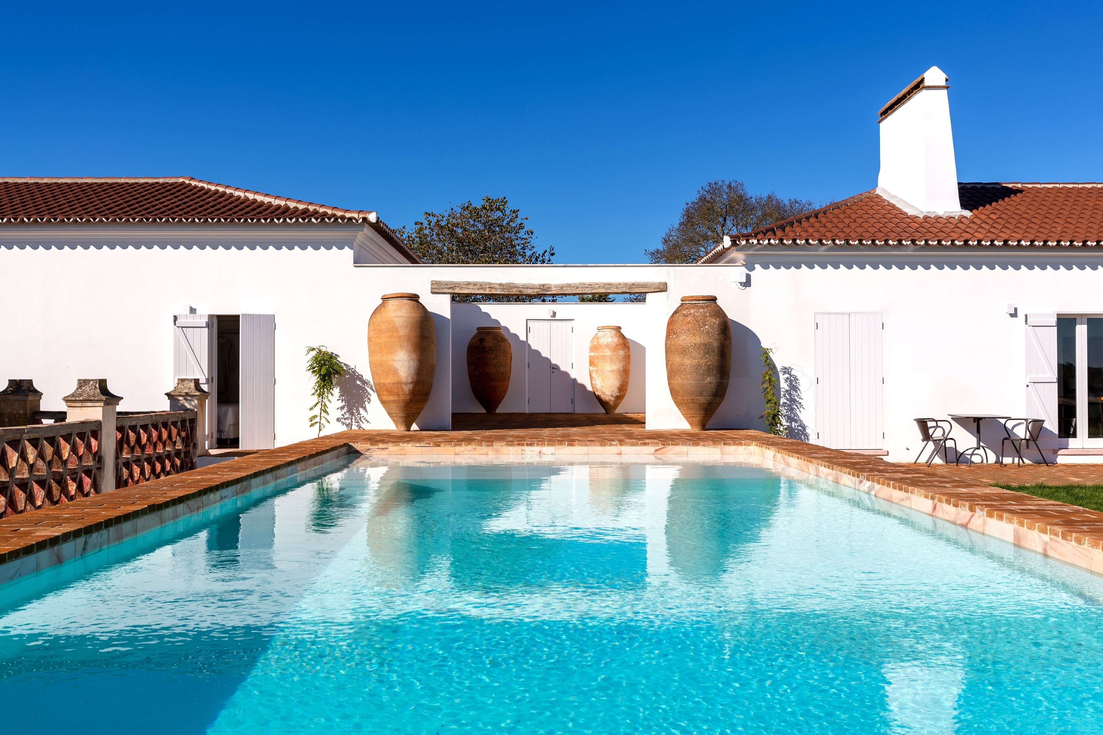 Foto - Cenoura-Brava