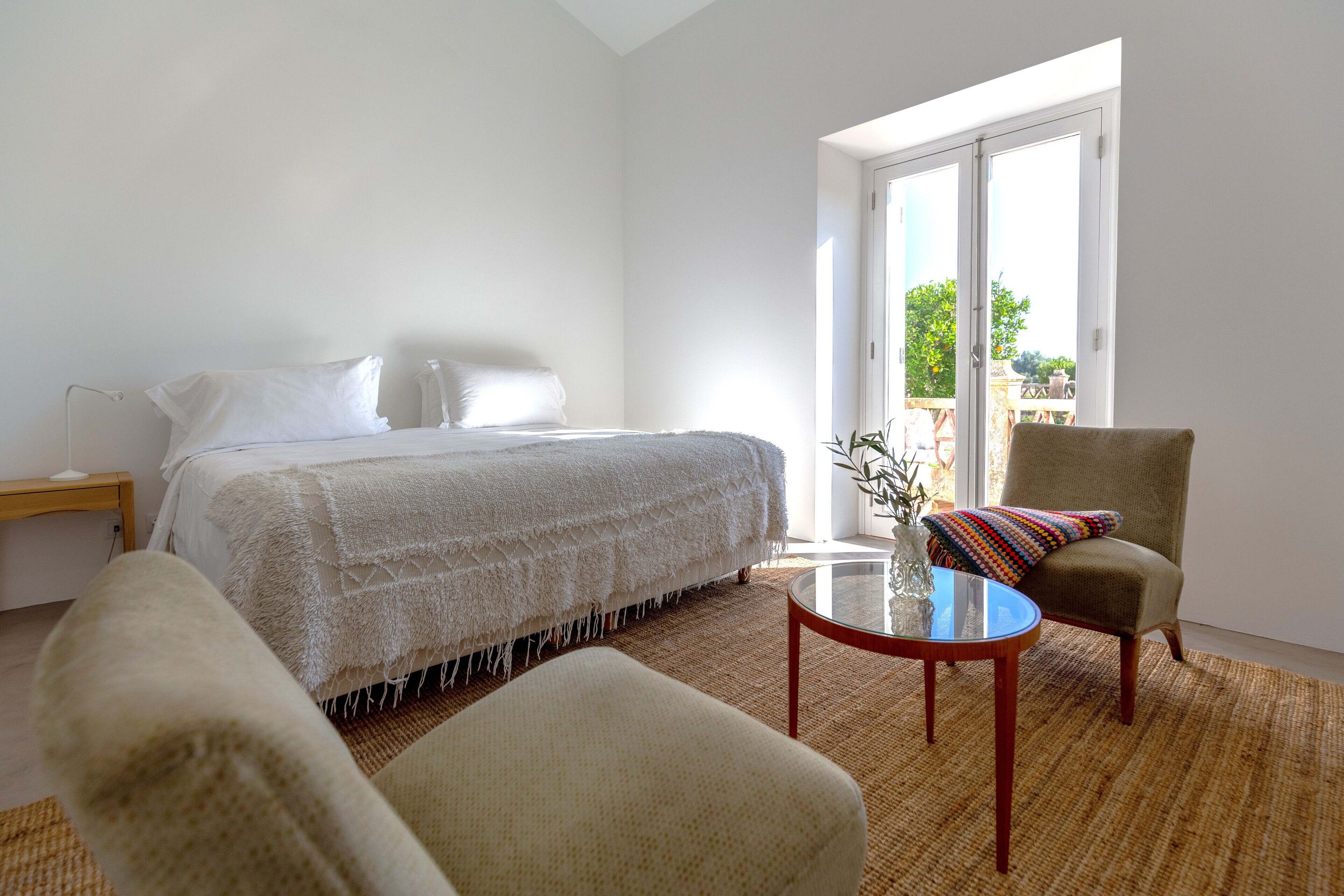 Foto - Cenoura-Brava