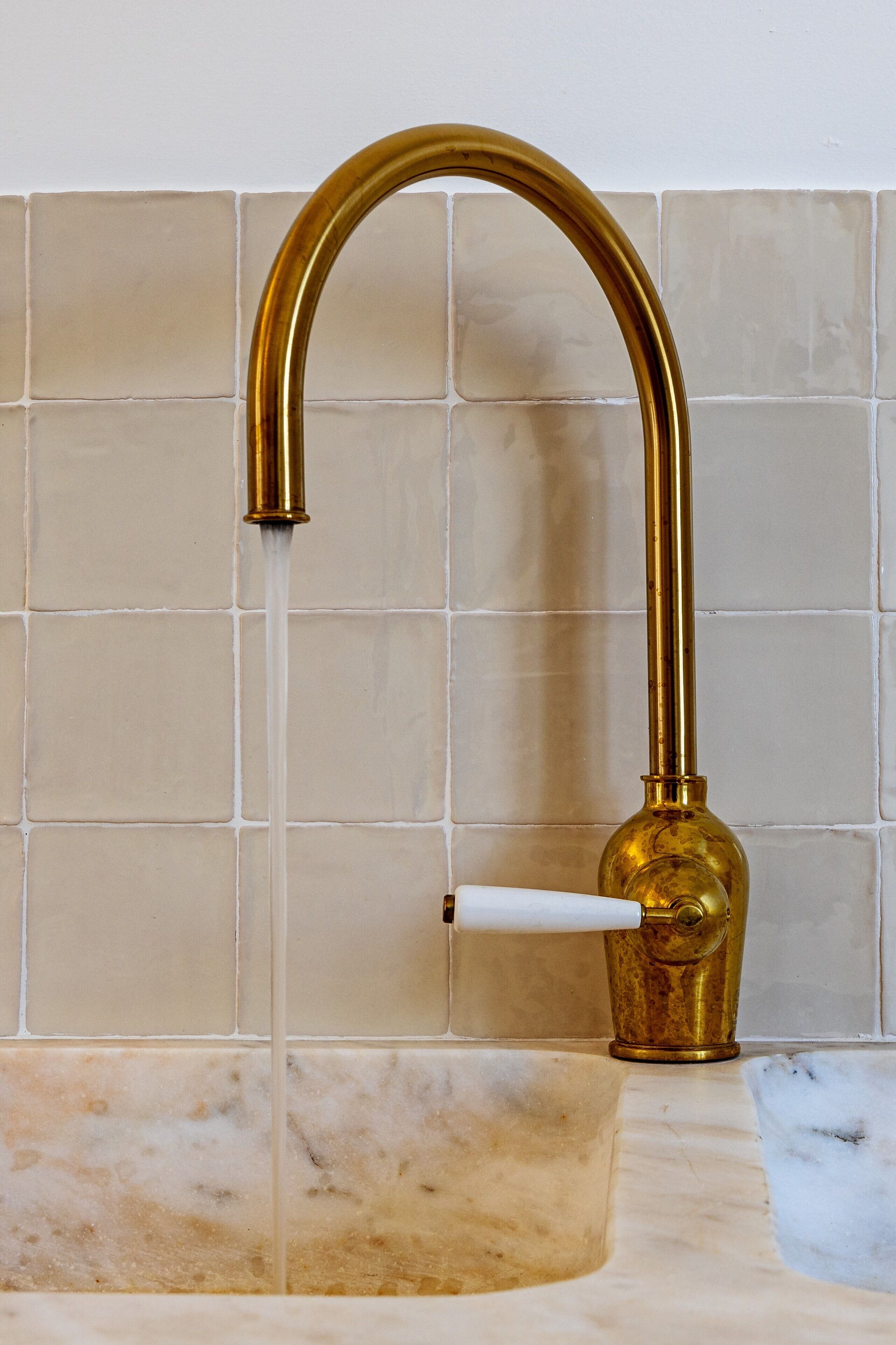 Foto - Cenoura-Brava