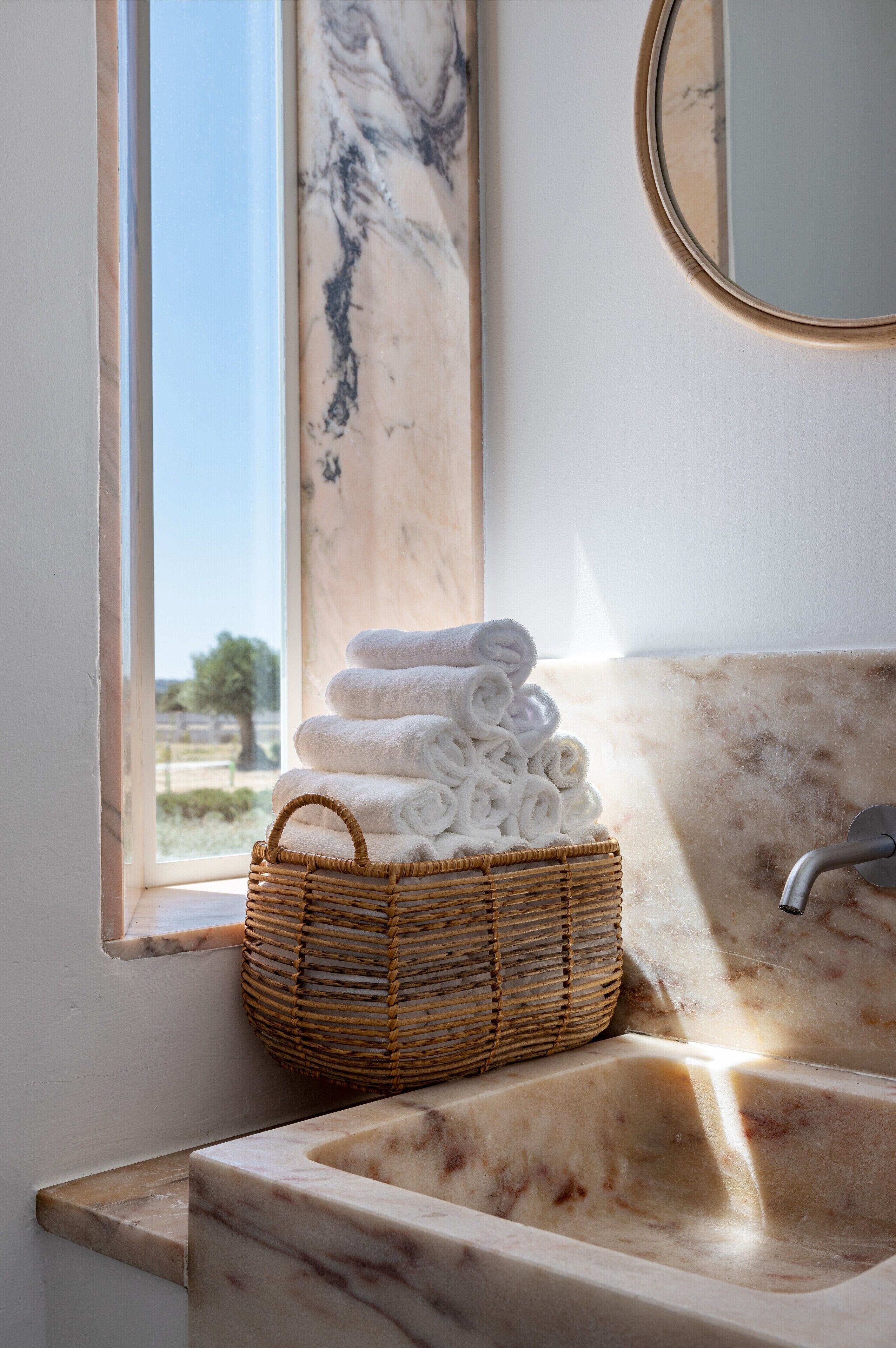 Foto - Cenoura-Brava