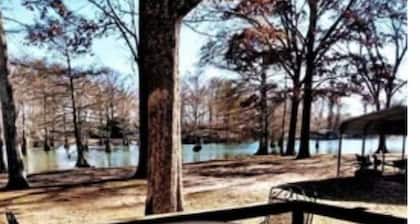 Fish, Play, Sleep on the Bayou