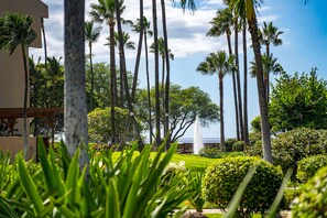 Property grounds - Kamaole Sands 1-307 - Prime Location, Stunning Renovation, Large Lanai, New AC  (Kihei)