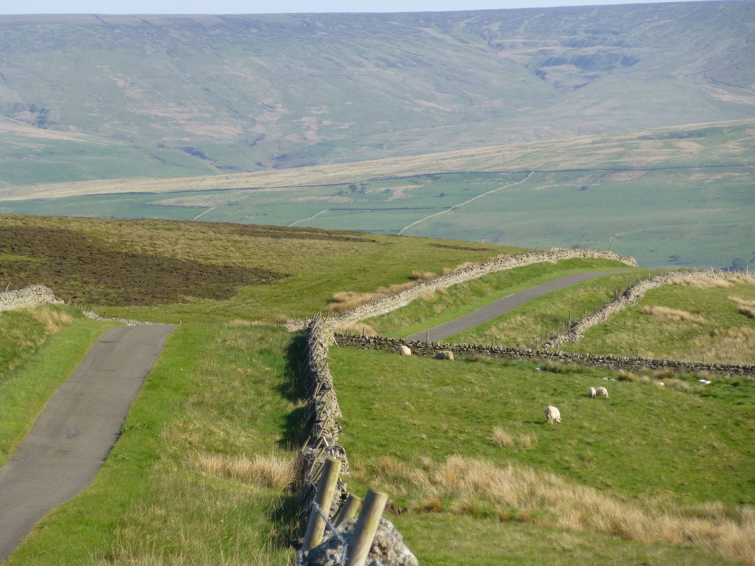 A rural landscape with a winding road, stone walls, and grazing sheep.