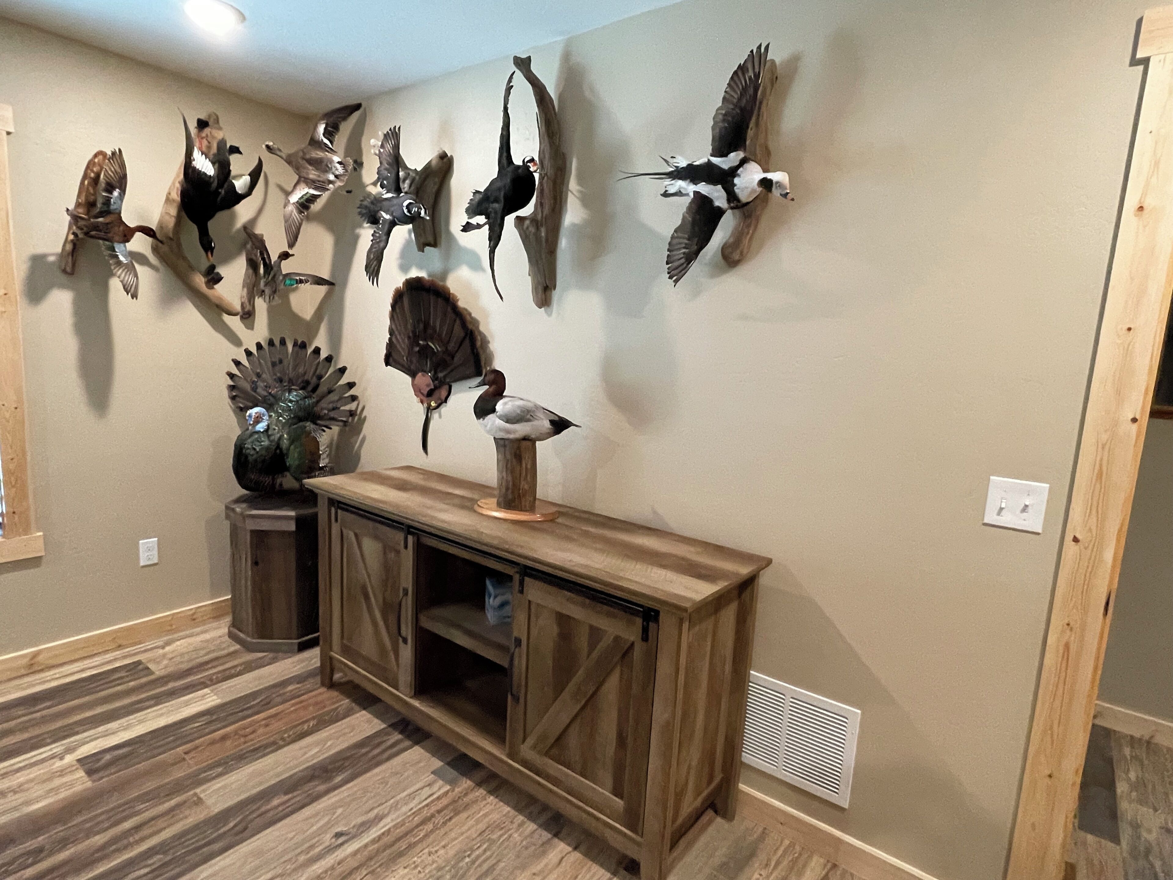 A room with a wooden cabinet and a wall adorned with mounted bird specimens.