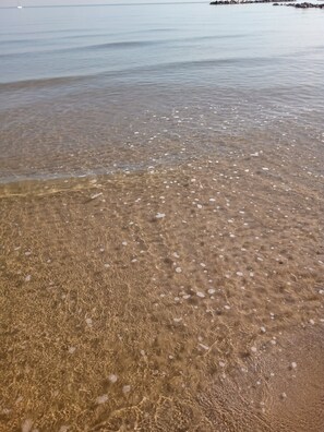 Beach - WANDERLUST HOME: Beachfront house - 50 meters from the sea! (Termoli)