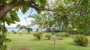 A lush garden with various trees and shrubs, a clear view of the ocean, and a well-maintained lawn.