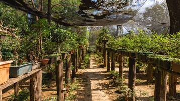 A garden pathway with potted plants on wooden stands, surrounded by trees.