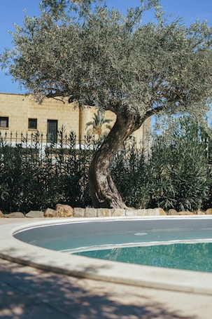 Seasonal outdoor pool, open 9:00 AM to 8:00 PM, pool umbrellas