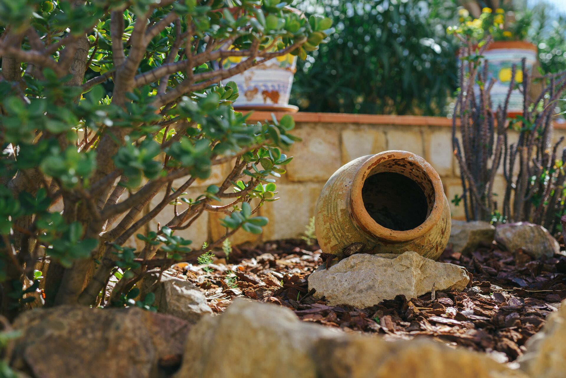 Photo - Archi Bianchi