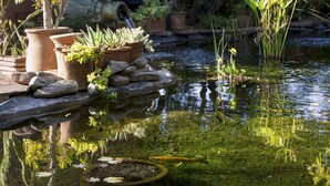 Ein ruhiger Gartenteich mit Kübelpflanzen und einem Steinweg.