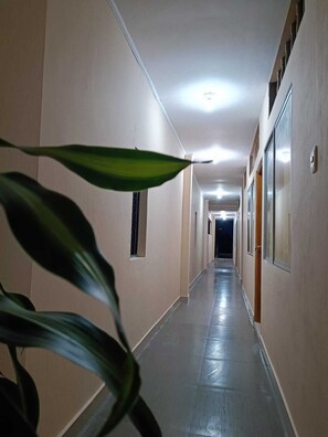 Basic Room | Terrace/patio