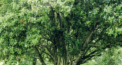 Centrally located, spacious and comfortable! Minutes from downtown/UT, shopping.