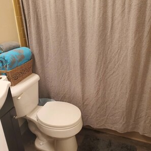 Hair dryer, towels, toilet paper