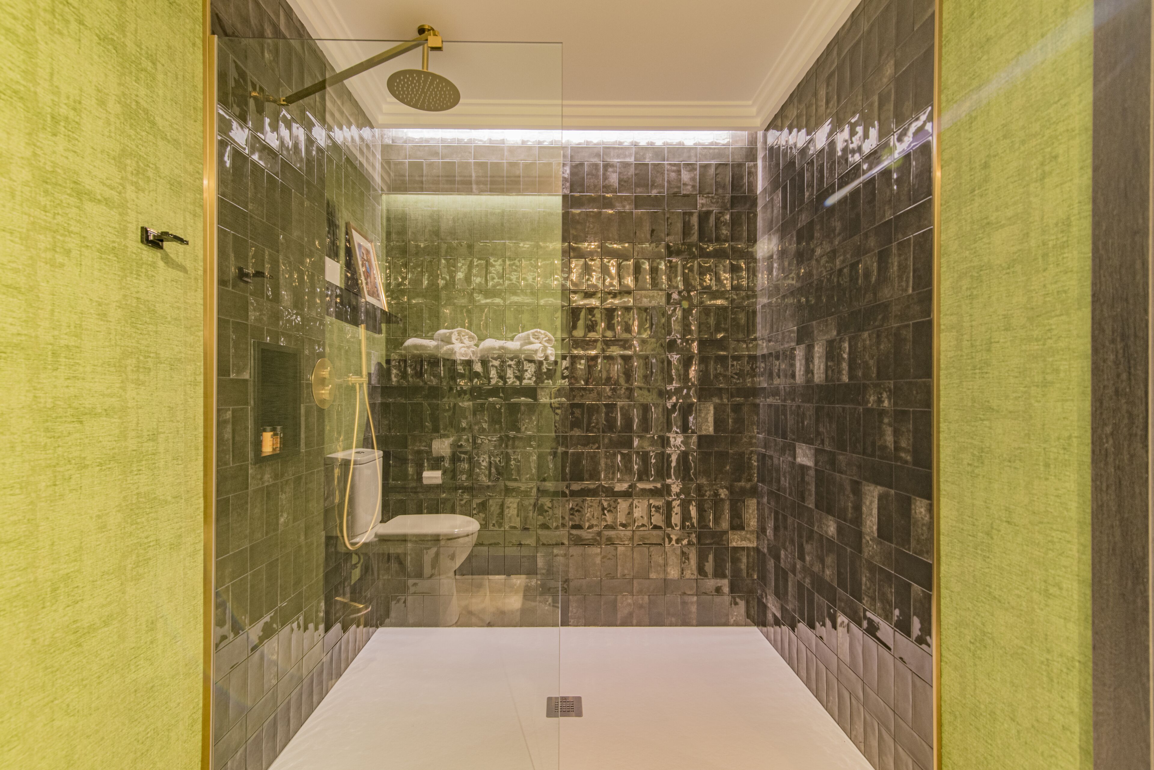 A bathroom with a glass shower enclosure, a white toilet, and a tiled wall with a green and black pattern.