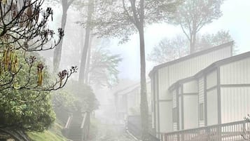 A gravel path leading to a row of cabins with a wooden deck and a small structure, surrounded by trees and vegetation.