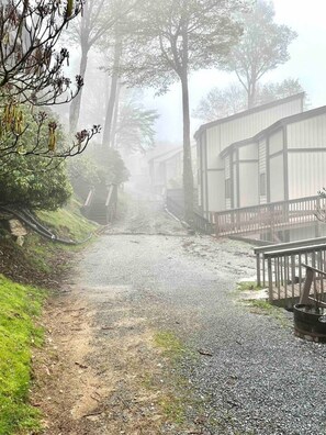 Property grounds - The Beech Club *Mountain Views*Pet Friendly* (Beech Mountain)