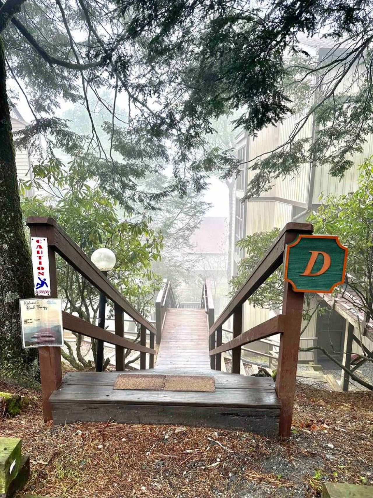 A wooden staircase leading up to a building with a 'D' sign, surrounded by trees.