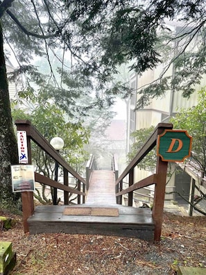 A wooden staircase leading up to a building with a 'D' sign, surrounded by trees. - The Beech Club *Mountain Views*Pet Friendly* (Beech Mountain)
