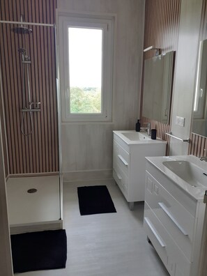 Shower, hair dryer, towels