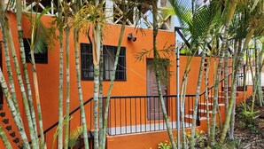A building with a staircase leading to a door, surrounded by bamboo and other tropical plants.
