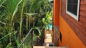 A wooden house with a stone-tiled porch, surrounded by lush tropical vegetation.