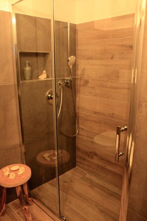 Shower, hair dryer, bidet, towels
