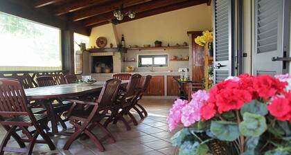 Hillside villa with private pool in Monopoli